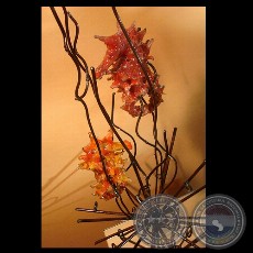 CABALLITOS DE MAR - Escultura de SERGIO BUZÓ